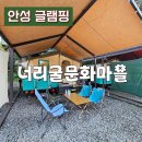 숲속 동키마을 캠핑장 | 안성글램핑 너리굴문화마을 숲속🌲 아늑한 캠핑장 후기