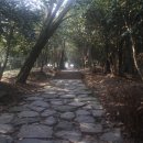 죽도봉공원 이미지