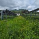 해봄 태양광발전소 이미지