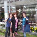 규순농장 Daum카페
