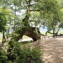 도산시장 이미지