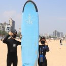 서프베이 이미지