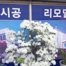 이천에이스공인중개사사무소 이미지
