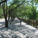 강동로3-17 이미지