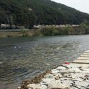 태양농원 이미지