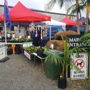 헬로케리 이미지