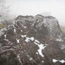 노적봉주유소 이미지