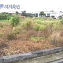 안덕면 문화마을 내 이미지