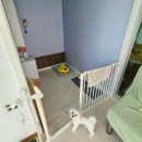 땡글땡굴 이미지