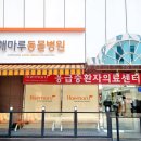 리더스 동물병원 이미지