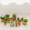 동화 속 수학여행 이미지