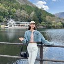 여행 필.수.템! 유투어버스 1일 투어 솔직 후기: 유후인 벳부 다자이후 9가지 특전 완벽정복! (내돈내산)