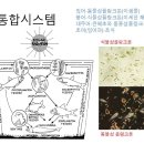 permaculture design natural system 이미지