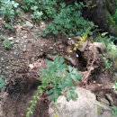 한일주유소 이미지