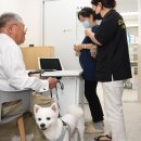 나라동물병원 이미지