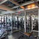 시드니 휘트니스 이미지