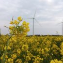 이호발전소 이미지