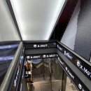 엑스머트 이미지