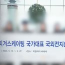 [단독] 음주에 '성추행'까지…피겨 국가대표 자격정지 3년 '중징계' 이미지