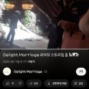 딜라이트 | 축의대대행 딜라이트메리지 본식 후기+짝꿍할인 사비페이백