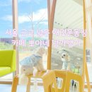서울 근교 넓은 애견운동장 카페 뽀야네 딩가댕가