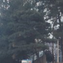 TS3차 | 양주 삼숭동 TS푸른솔 3차 아파트 7인치 비디오폰 설치 후기 - 가성비 최고!