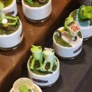 H-040 | 11월 홋카이도 여행기_하코다테(4)