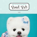 달리