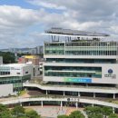 이은주 살풀이춤 이미지