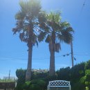 제주놀3320 이미지