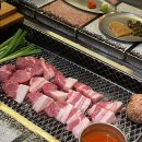 갑-190 | 을지로 흑돼지 맛집 '산청숯불가든' (내돈내산, 임산부 입장방법)