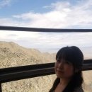 에이리얼 카카오 검색결과