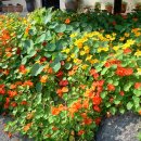 금강노래방 이미지