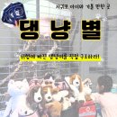 신화주유소 | 서귀포 아이와 가볼만한곳｜댕냥이 구조 체험 테마파크 ‘댕냥별’ 직접 다녀온 후기
