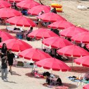 강서구-37 이미지