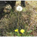 울산참사랑의집 이미지