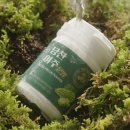 비엠에스 이미지