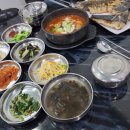 너 고등어 나 삼치