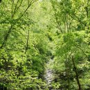 별빛펜션 이미지