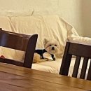 멍과자점 이미지