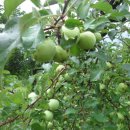 지인농장 이미지