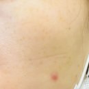 벌교맑은의원 이미지