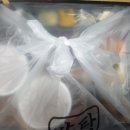 만타스시31일산 네이버블로그