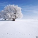 삶과 삶의 다름과 같음에 대해 『문화일보/유희경의 시:선(詩:選)』 미드소마 / 조용우 이미지