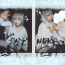 241103 네키루 &amp; 와가온 2MAN LIVE 「네카온 NEKAON」