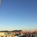 시티아이넷