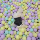 석촌유치원 이미지