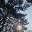 화목맑은물순환센터 족구장 | 빛명상, 마음 불편하던 집이 웃음꽃 피는 가정이 된 찐 후기!!