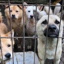 장형농장 이미지