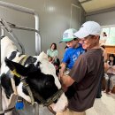 지누농장 이미지